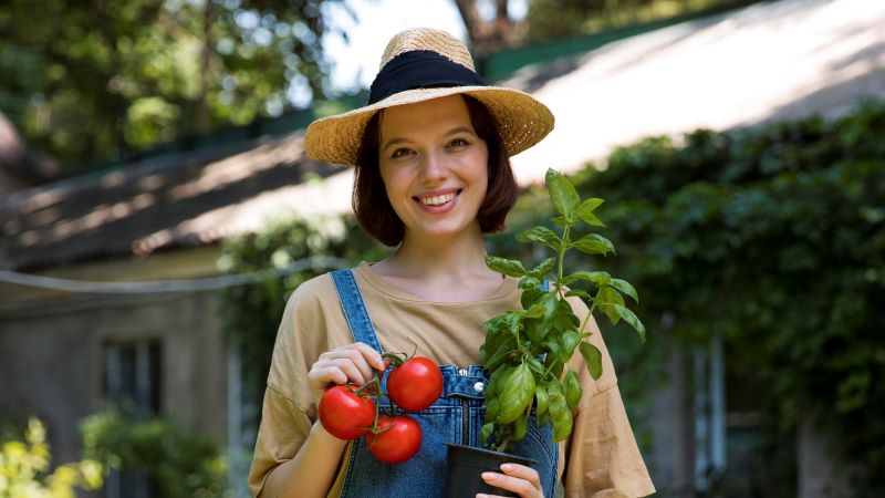 mujer agricultora con tomates y albaca